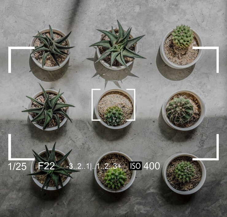Komposisi Rule of Thirds