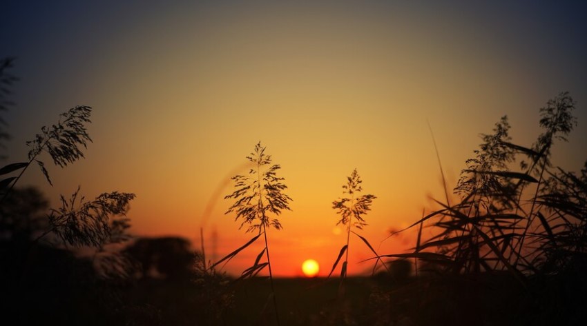 Memotret Golden Hour Gimana Tuh?