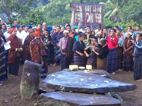 Tradisi adat kanua budaya syukran di flores